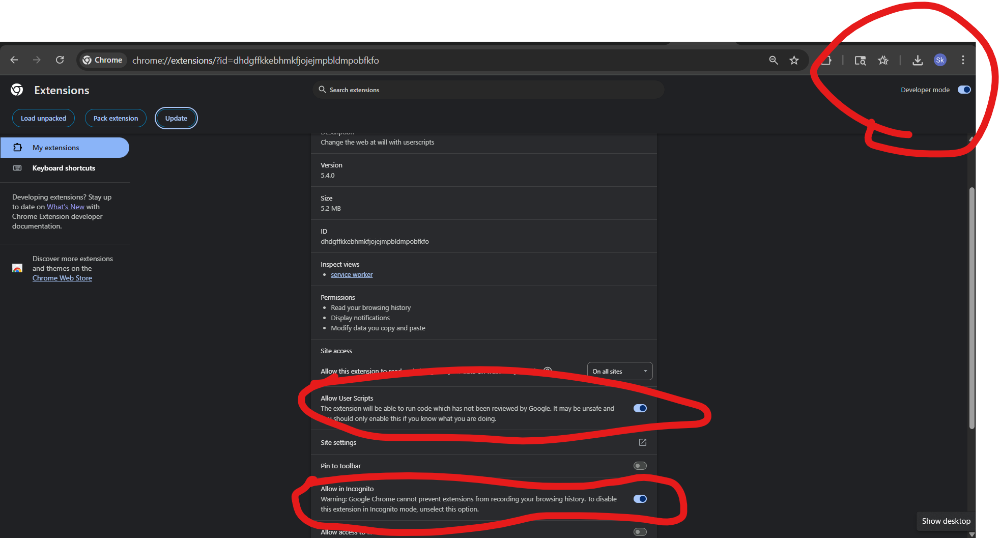 Chrome settings showing Allow User Scripts enabled